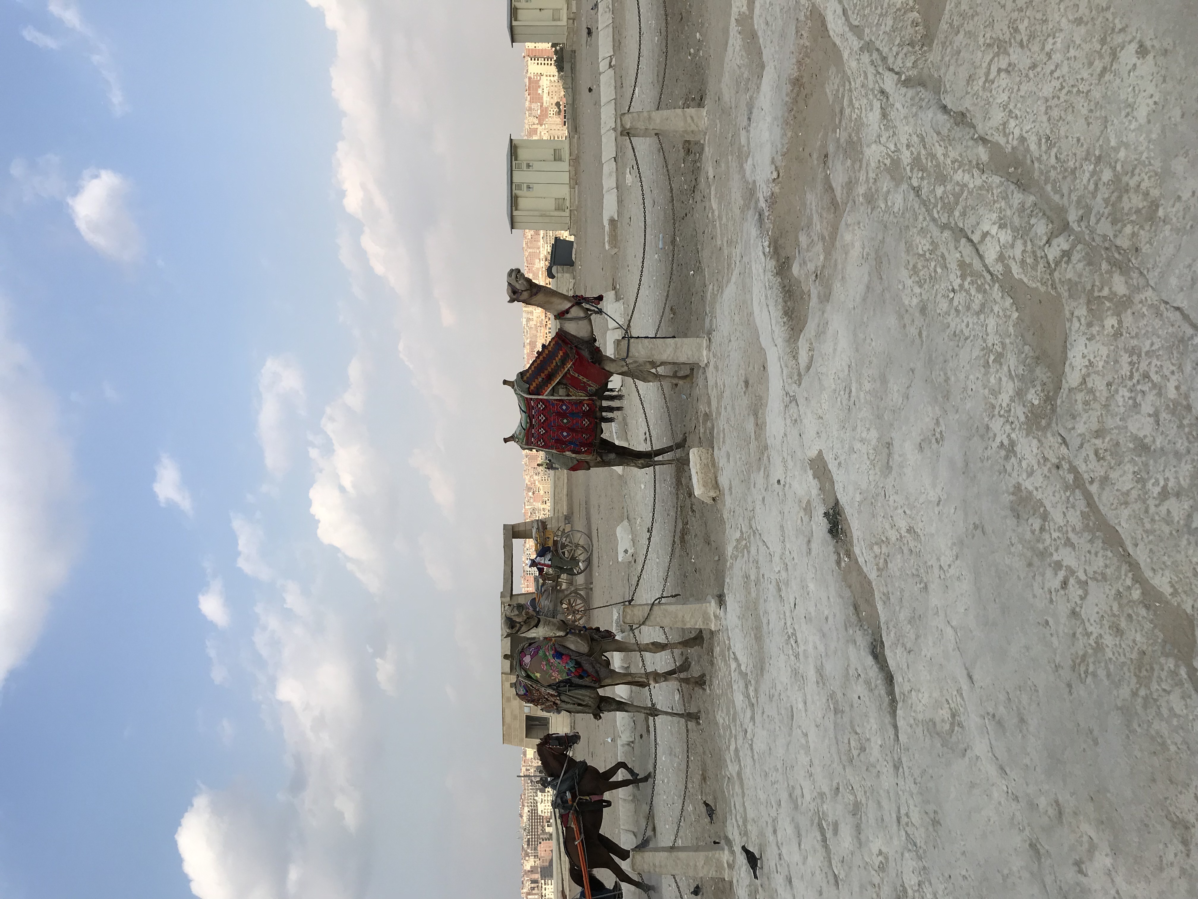 ./2018/16 - Egypt/03 - Pyramids/IMG_0790.jpg